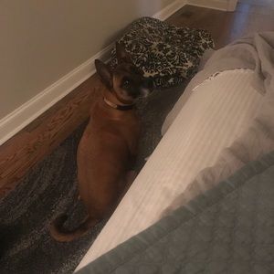 Meet your Posher, Jennifer